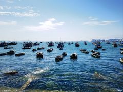 -海源公园