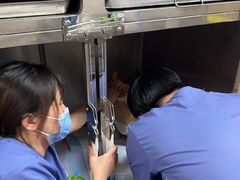 -半岛宠物医院24小时·内窥镜·牙科·碎石中心(府城大道店)