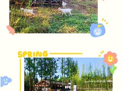 -前小桔亲子创意农场·草莓采摘·露营烧烤