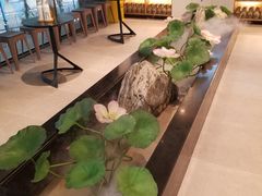 -俏牛哥鲜牛肉牛肆馆(重庆天地店)