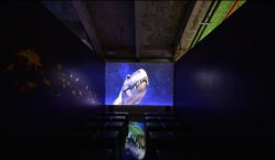 -恐龙探索乐园(磁器口店)