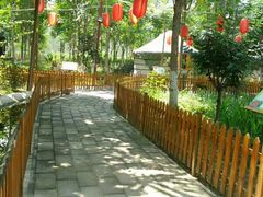 -草根堂农场