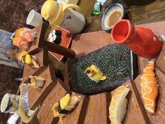 -古田居·特色寿司料理(骏欣中心店)