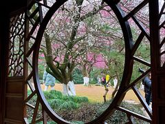 -杭州植物园