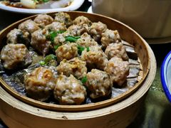 崩蒸手打肉丸-园林美食城·本土农家菜(杨和镇店)