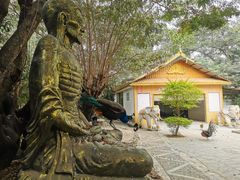 -瑞丽独树成林风景区