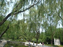 景点-菖蒲河公园