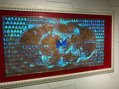 -上海昆虫博物馆