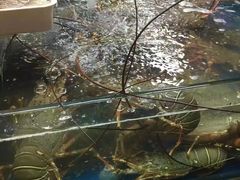-班赞海鲜市场