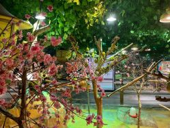 -酷嗒动物文化乐园(cutezoo西溪乐天城店)