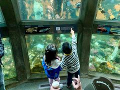 -西雅图水族馆