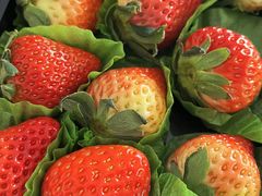 -百果园PAGODA(中铭豪园店)