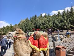 -雁门关景区