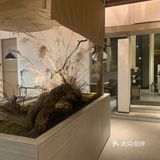 武汉探店｜武汉怎么会有这么好吃的牛肉火锅！