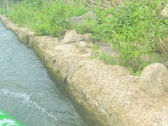 -仙山谷激浪漂流