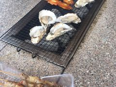 -吴淞炮台湾湿地森林公园烧烤区