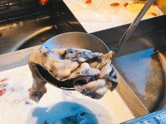 猪肚鸡锅底-海底捞火锅(九霄梦天地店)
