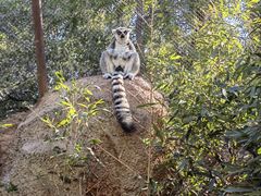 -北京野生动物园