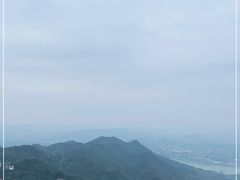 -大金鹰园