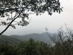 -雨花胜境