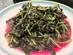 -松沪名灶·豆浆鱼头·新上海菜(飞航吾悦广场店)
