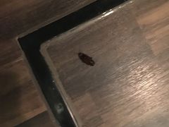 -新高轮格兰王子大酒店