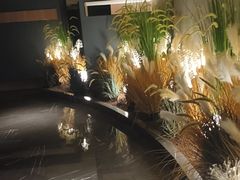 -碧涛阁·泡泡海洋·汤泉洗浴(王府花园店)