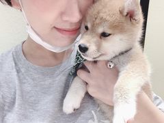 -逗柴咖啡屋·狗咖猫咖宠物桌游