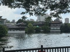 -荔湾湖公园