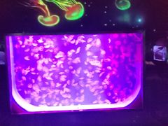 -沈阳海洋探索中心