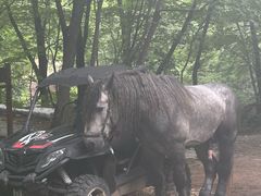 -本溪老边沟风景区