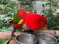 -南宫五洲植物乐园