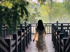 -东湖落雁景区