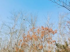 -马家湾湿地公园