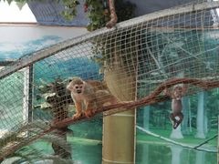 -西霞口神雕山野生动物世界