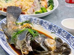 清蒸石斑鱼-翠盈餐厅(樟木头店)