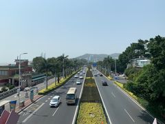 -八婆婆烧仙草(曾厝垵店)