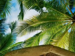 -日落吧·海景咖啡厅·餐酒吧·鸡尾酒·下午茶·乐队表演·浪漫夕阳·三亚文华东方酒店