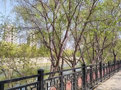 -桃花堤公园