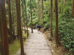 -雁荡山风景名胜区