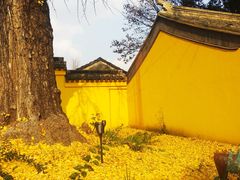 -龙寺生态园