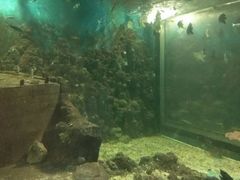-嘉兴海底世界