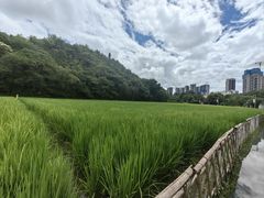 -贵阳市花溪国家城市湿地公园