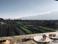 -翠田Green Field Kitchen