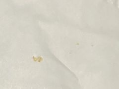 -广州白云机场诺富特酒店