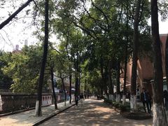 -广东外语外贸大学(白云山校区)