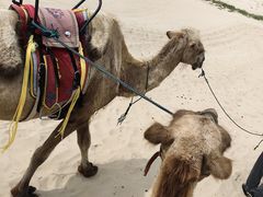 -库伦旗银沙湾旅游景区