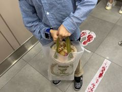 -珍妮曲奇聪明小熊(尖沙咀店)