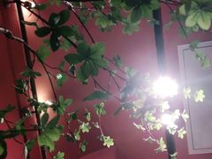 -鱼酷活鱼烤鱼(静安大融城店)