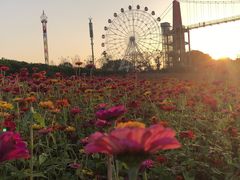 -花博汇(知音花月夜)